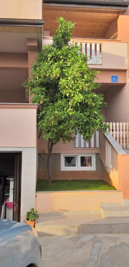 Apartmani Damant Zadar Chambre photo