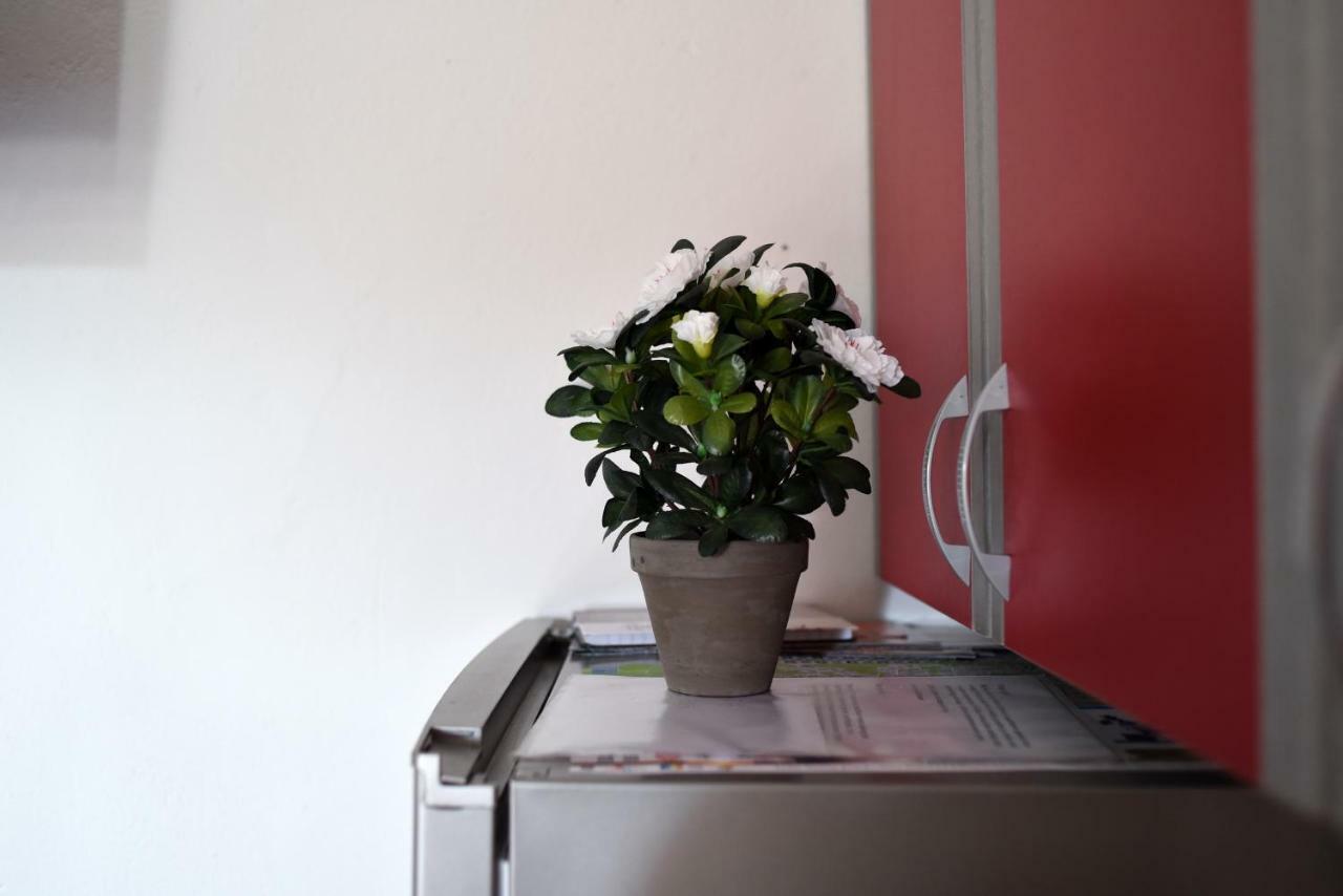 Apartmani Damant Zadar Extérieur photo